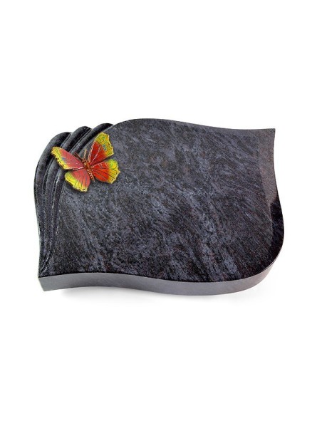 Grabstein Eterna/Orion Papillon 2 (Color)
