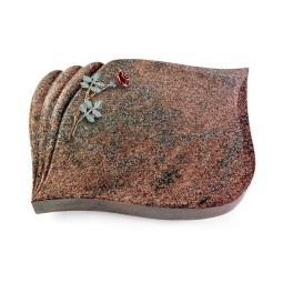 Grabstein Eterna/Paradiso Rose 4 (Color)