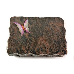 Grabplatte Barap Pure Papillon 1 (Color)