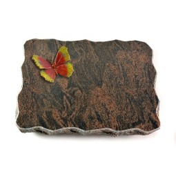 Grabplatte Barap Pure Papillon 2 (Color)