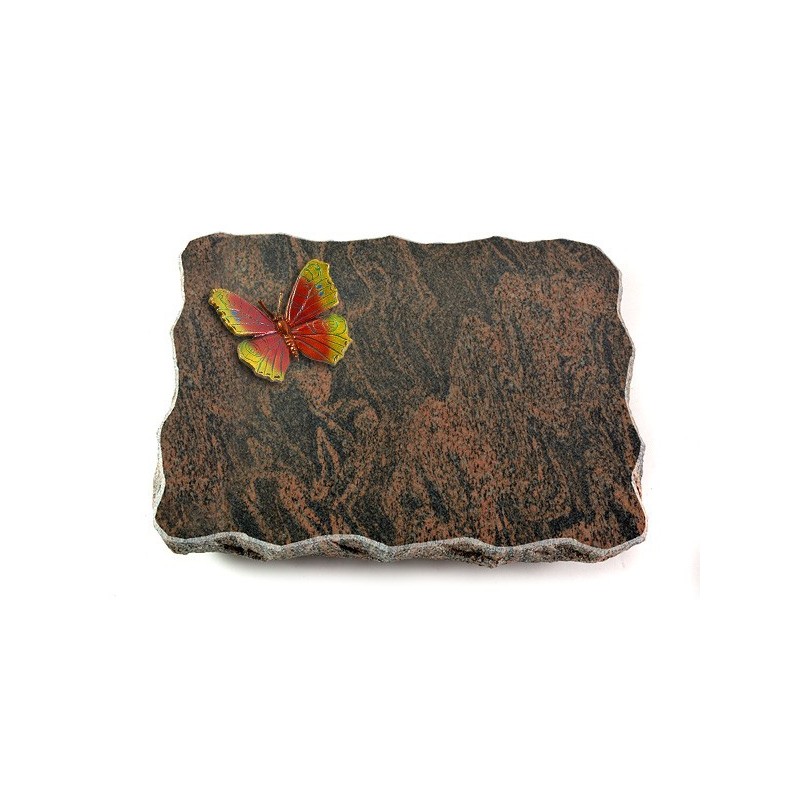 Grabplatte Barap Pure Papillon 2 (Color)