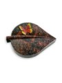 Grabstein Folia/Aruba Papillon 2 (Color)