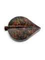 Grabstein Folia/Aruba Rose 6 (Color)