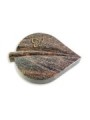 Grabstein Folia/Himalaya Papillon (Bronze)