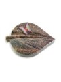 Grabstein Folia/Himalaya Papillon 1 (Color)
