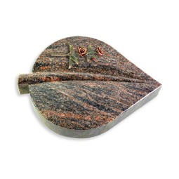 Grabstein Folia/Himalaya Rose 6 (Color)