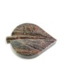 Grabstein Folia/Himalaya Rose 6 (Color)