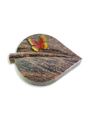 Grabstein Folia/Himalaya Papillon 2 (Color)