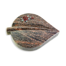 Grabstein Folia/Himalaya Rose 1 (Color)