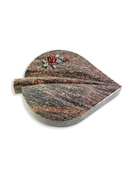 Grabstein Folia/Himalaya Rose 1 (Color)