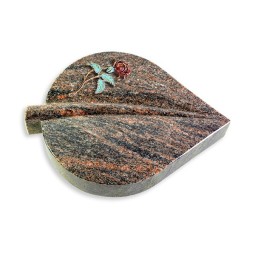 Grabstein Folia/Himalaya Rose 2 (Color)