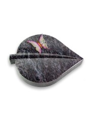 Grabstein Folia/Orion Papillon 1 (Color)