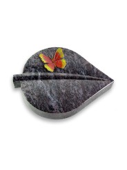 Grabstein Folia/Orion Papillon 2 (Color)