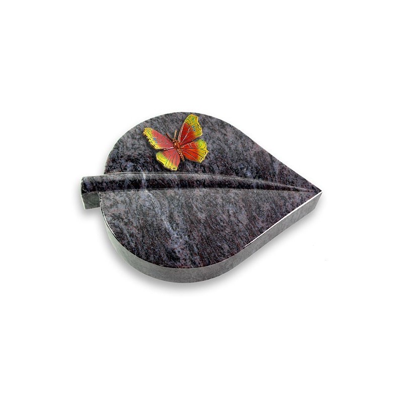 Grabstein Folia/Orion Papillon 2 (Color)