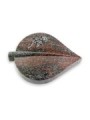 Grabstein Folia/Paradiso Rose 2 (Alu)