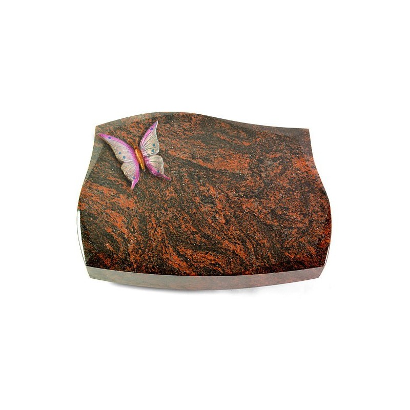 Grabstein Galaxie/Aruba Papillon 1 (Color)