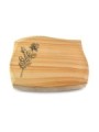 Grabstein Galaxie/Woodland Rose 13 (Bronze)