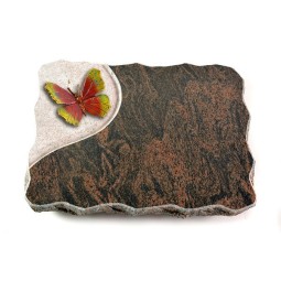 Grabplatte Barap Folio Papillon 2 (Color)