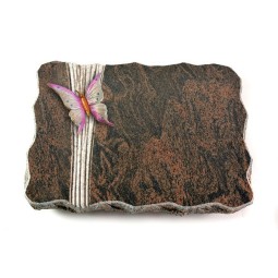 Grabplatte Barap Strikt Papillon 1 (Color)