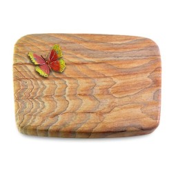 Grabstein Linea/Rainbow Papillon 2 (Color)