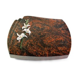 Grabstein Paris/Aruba Orchidee (Color)