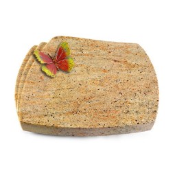 Grabstein Paris/Kashmir Papillon 2 (Color)