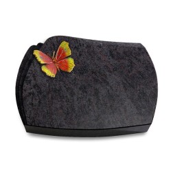 Grabstein Paris/Orion Papillon 2 (Color)