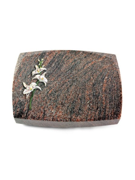Grabstein Roma/Himalaya Orchidee (Color)