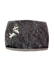 Grabstein Roma/Orion Orchidee (Color)