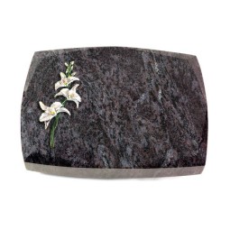 Grabstein Roma/Orion Orchidee (Color)