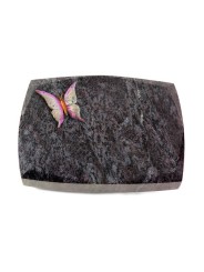 Grabstein Roma/Orion Papillon 1 (Color)