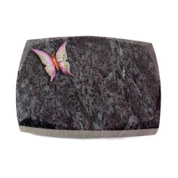 Grabstein Roma/Orion Papillon 1 (Color)