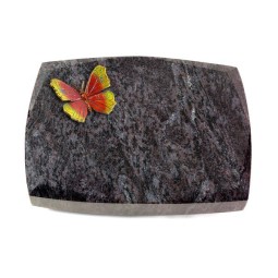 Grabstein Roma/Orion Papillon 2 (Color)