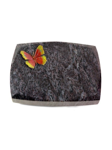 Grabstein Roma/Orion Papillon 2 (Color)