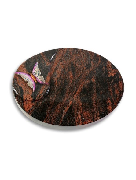 Grabstein Yang/Aruba Papillon 1 (Color)