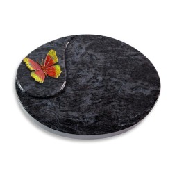 Grabstein Yang/Orion Papillon 2 (Color)