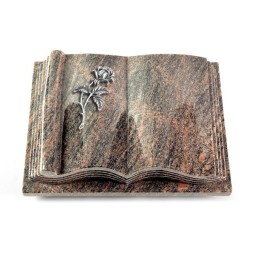 Grabbuch Antique/Himalaya Rose 2 (Alu)