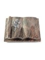 Grabbuch Antique/Himalaya Rose 11 (Alu)