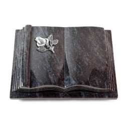 Grabbuch Antique/Orion Rose 3 (Alu)