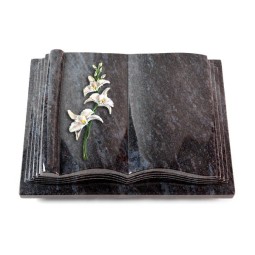 Grabbuch Antique/Orion Orchidee (Color)