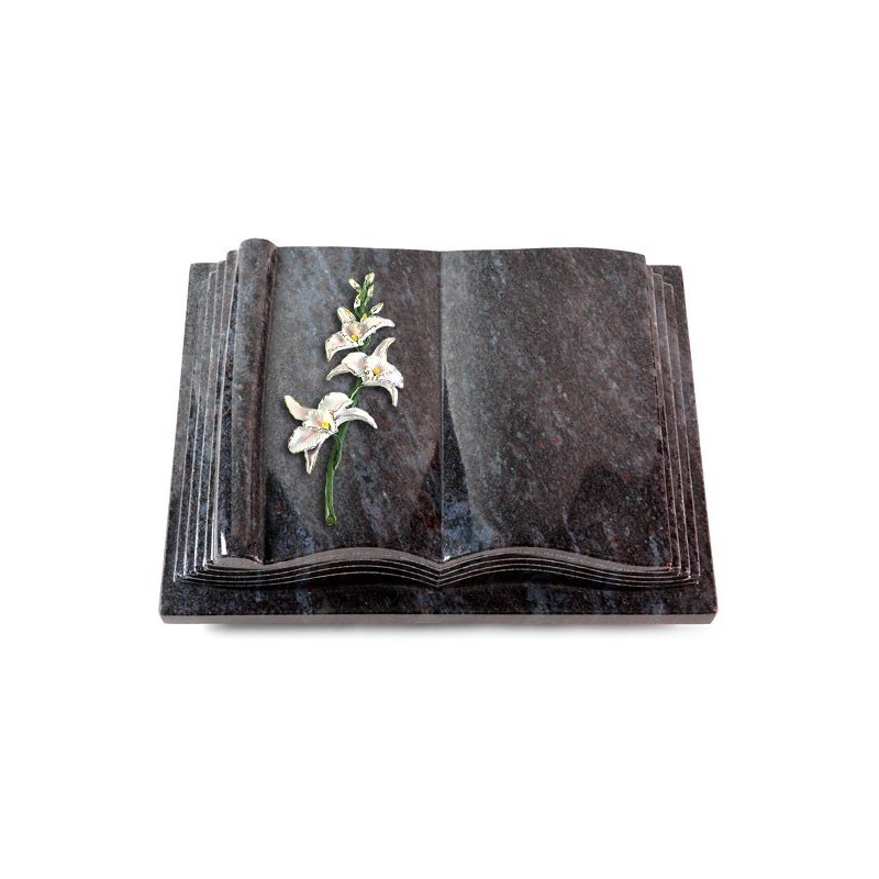 Grabbuch Antique/Orion Orchidee (Color)