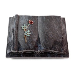 Grabbuch Antique/Orion Rose 4 (Color)