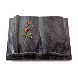 Grabbuch Antique/Orion Rose 6 (Color)