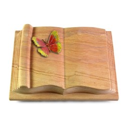 Grabbuch Antique/Rainbow Papillon 2 (Color)