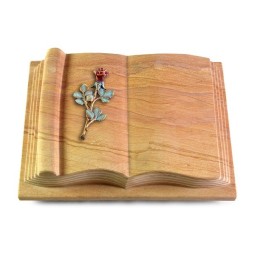 Grabbuch Antique/Rainbow Rose 7 (Color)