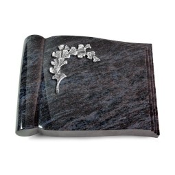 Grabbuch Biblos/Orion Gingozweig 2 (Alu)