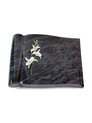 Grabbuch Biblos/Orion Orchidee (Color)