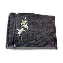 Grabbuch Biblos/Orion Orchidee (Color)