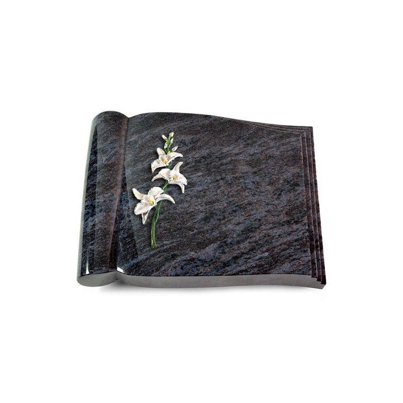 Grabbuch Biblos/Orion Orchidee (Color)