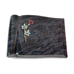 Grabbuch Biblos/Orion Rose 4 (Color)